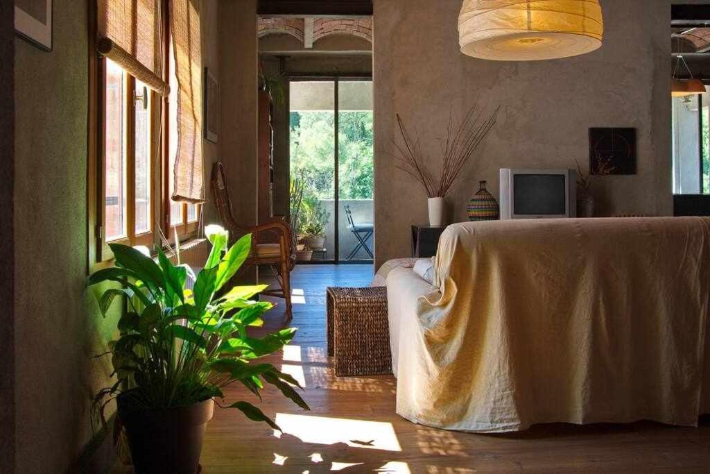 Sleep & Stay Artistico Loft Sant Daniel Girona Ngoại thất bức ảnh